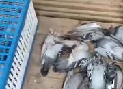 �ҷ�һСʱ�������� ��ҹ�����ֹ����