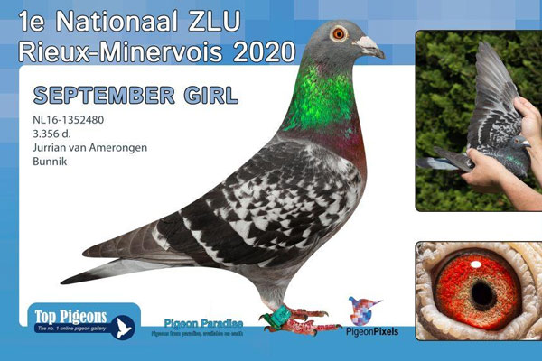 ��Ʒ�ɣ�����ռ������ �����ھ��ٷ��Ǿ�