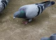 ��ʱ���¸�Ե ������ٶ���������