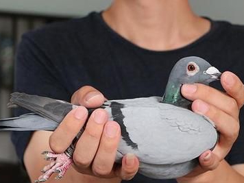 ���ۣ�������û�С�ȫ�ܸ롱��