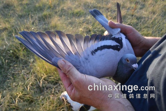 ����ʱ������� �ð�2.1���𳤾���ھ���