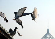 �״��������� �žŹ�һȴ�ȷɹھ�������