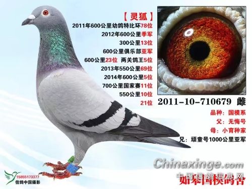 �����ɹھ��� �ǻؼ�������ǿ�ĸ���