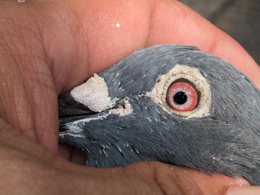 ����2019�걱�����������ع���ͬ��������