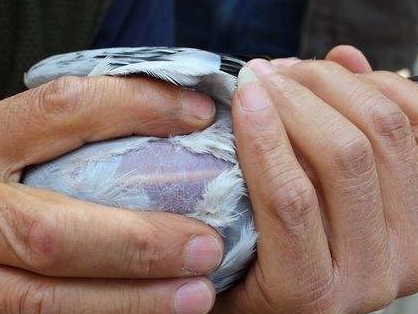 ��Щ���ڼ�������йصļ���