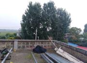 Բͯ������ �Խ����׸���