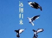 ����Զ�����ʵ�� ����ɸ�����