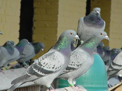 ����20�� û�����ɼ�