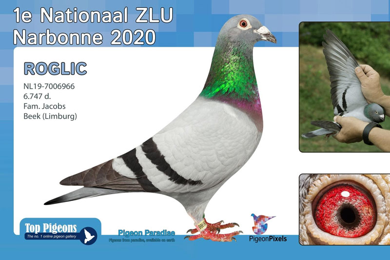 15������������ ���������ð�ȫ���ھ�