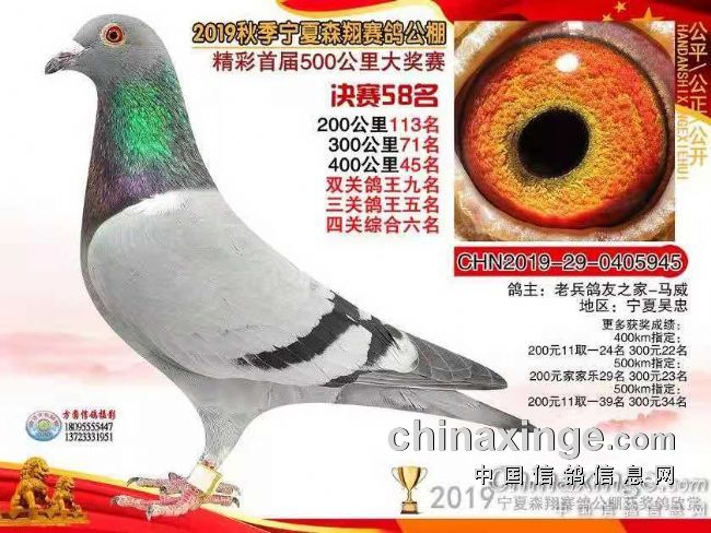 �й�������ô��ŷ������ȣ�