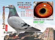 �ٹ��޺ø룿������Щ�ٹ�����Ϯ֮·