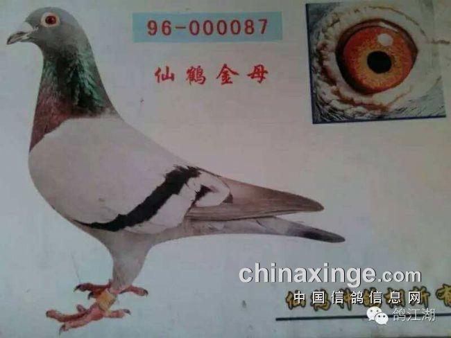 ��־о��һ�����������ɺ�87��һ����