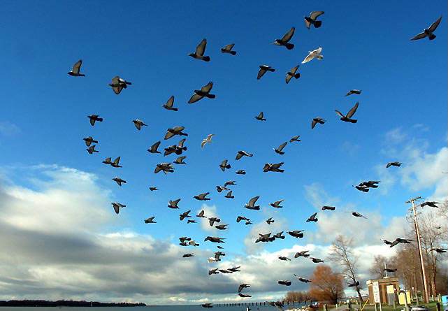 �ھ���һ������ѵ�����ģ�