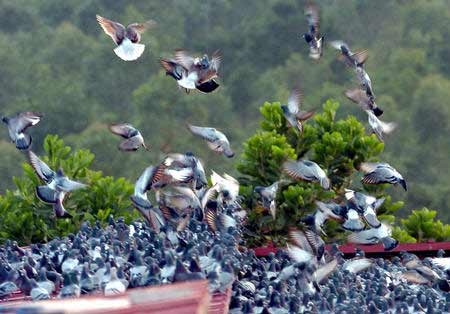 ����;ָ�������Ӯ����˭��