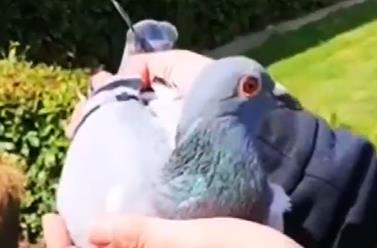 �����׸�������ۡ������ࡱֱŮ�����Ǿ�