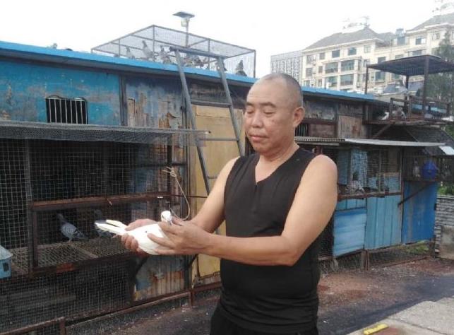 �Ϸʵ͵�ǿ����¾���һ·ʵս�׻���