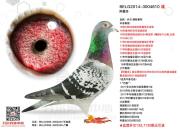 ��ʲô ��������28551���Ǿ�