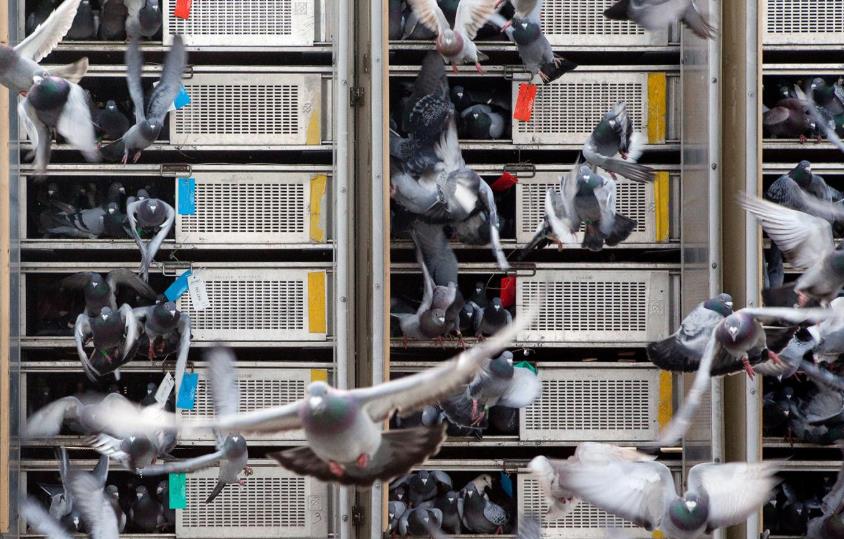 ������������ KBDBȡ���Ǿ����׸���