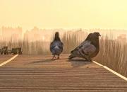 �Ÿ����������Ʒ�� ���ҳ���