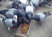 ����ǰ��׼�� �ð����ǳԱ�