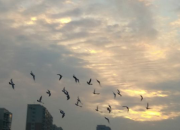 �ҷɲ����� ���ﲻѸ�٣��Լ��ü���һ��