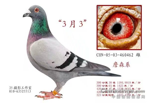 ������ղɭ�������������ھ� �Ӵ�������ھ�