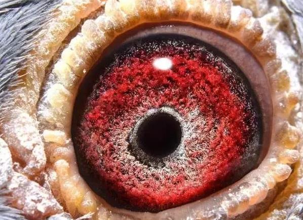 ��һ������ ����������ģ�