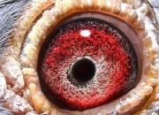 ��һ������ ����������ģ�