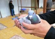 ����������� ����С�гɼ�