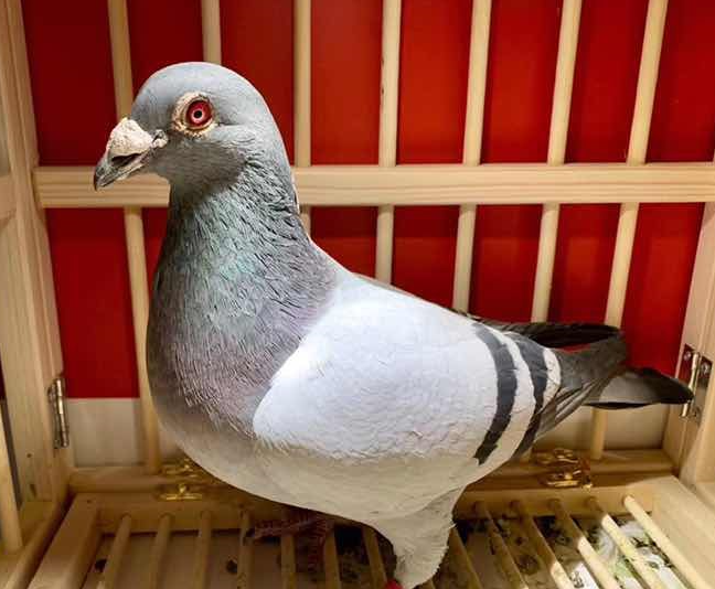 �ÿ��Ĳ�һ����