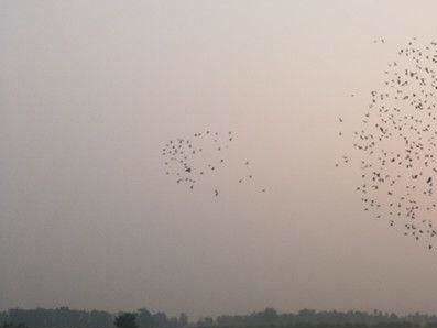 ѵ��Ҫ��ɶ��