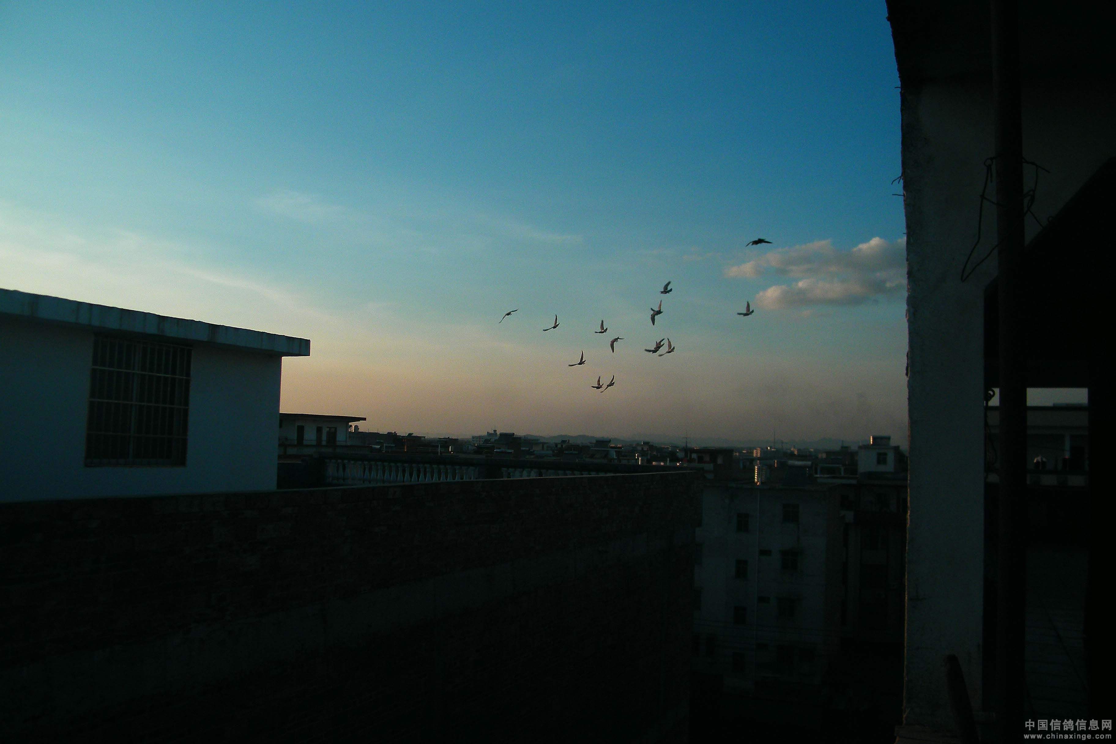 �ø붼��ѵ������