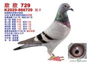 ̨������3.7��������ھ� �����ؾ���ǰʮ��