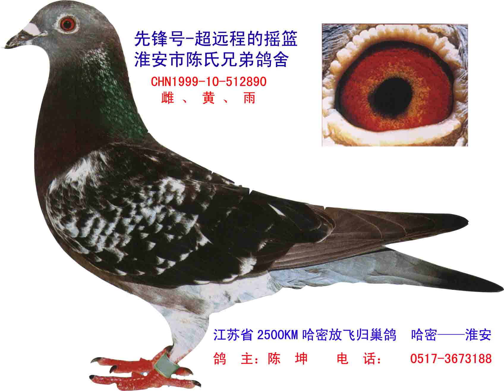 Ƭ𻴰ŹܳԶ̹鳲