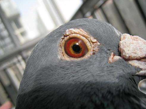 ����桰ì��ܡ�