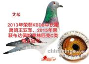 ��������ļ��ֿ�˹����(һ)