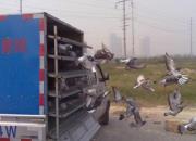 ����ѵ�����ǣ�����ѵһ�β��ȫ����û