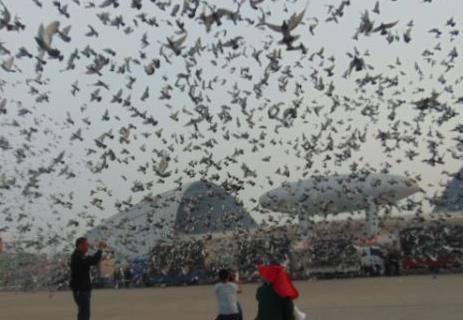 ���ۣ�����Ҫ�ľ��ǲд棿