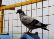 �����＾15�������ѵ����ʵ