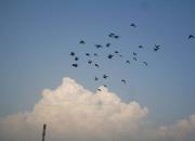 ���Ƴ��� ����������¹��˭�֣�