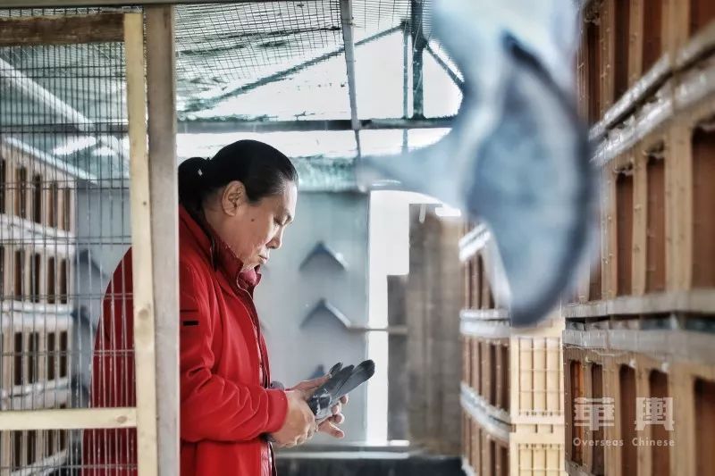 �ձ������������������