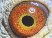 ������һ������ ˵˵��Ŀ��� 