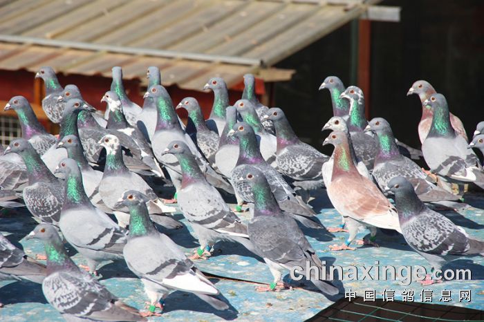 ��ô�ж�����״̬���ˣ�