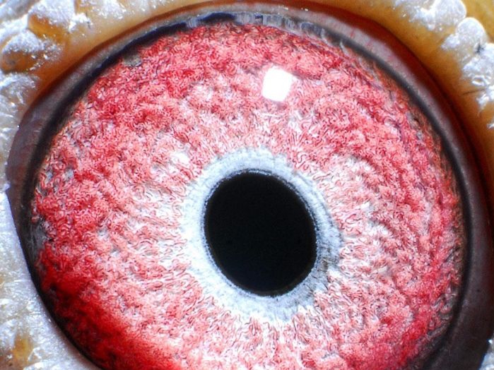 ����Ǯ����λ�ɼ��룿