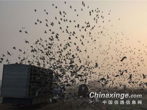 �϶�����