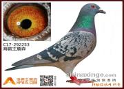 ������·���¼(23) �Ÿ뽭�� ��������