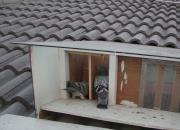 ȥ�����Ұ� ���Сָ���ز�����