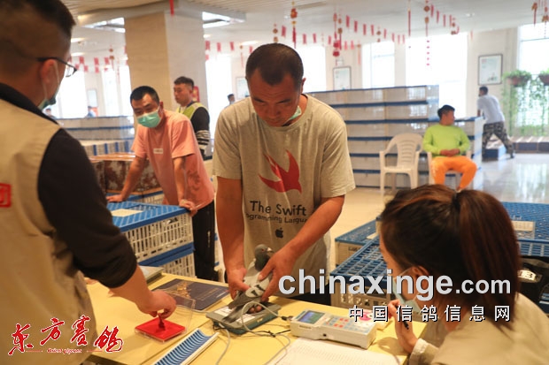 �����Ѵ��� ս���Ѱ�ʦ �����ʸ����鳲��94%