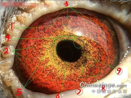 �Ų�����ȫ��������