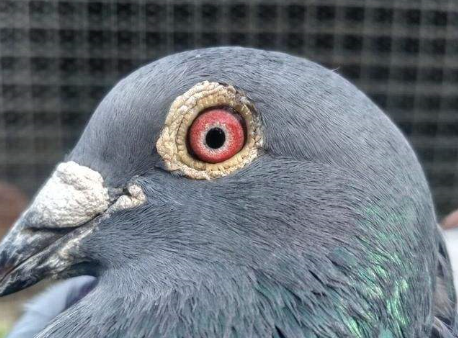 ��ʮԪ�ĸ���Ҳ�ܷɹھ�